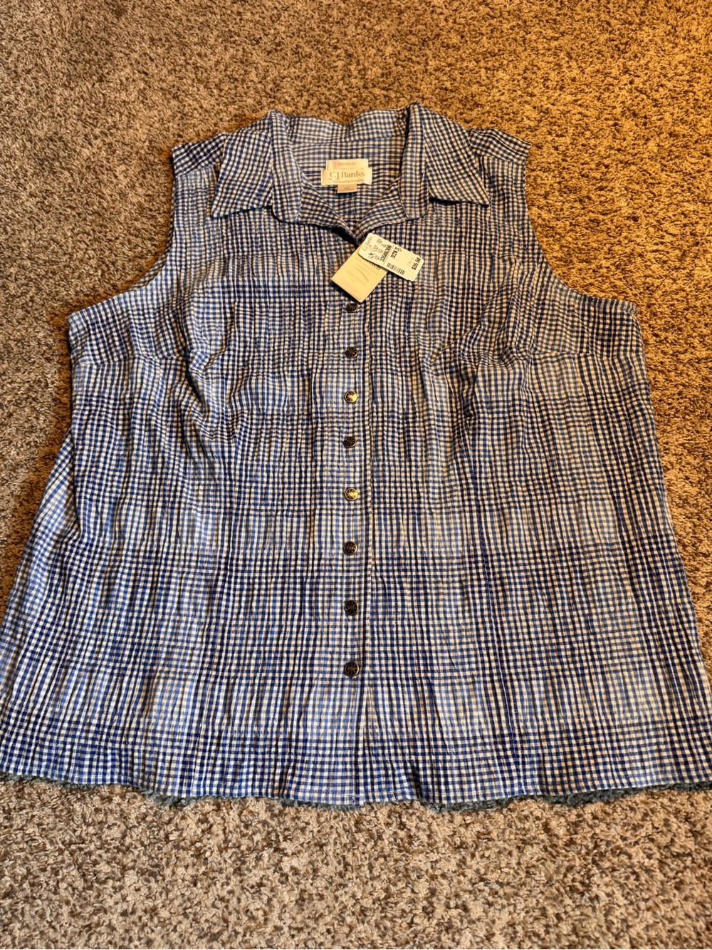 NWT Christopher & Banks Blue Gingham Sleeveless Button-Front Top - 2X